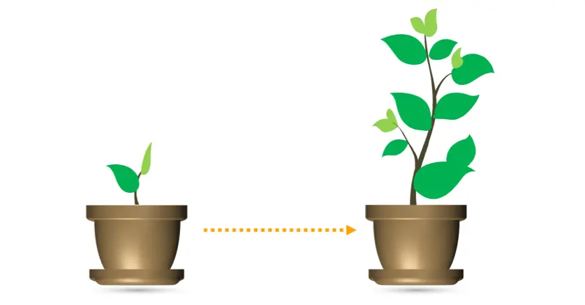Business Growth